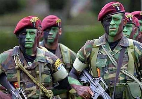 Fuerzas Armadas De Guatemala Medios Y Capacidades Defensa Com