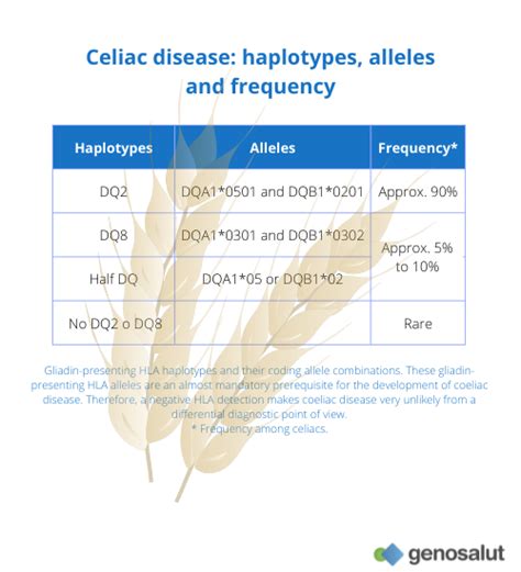 Genetic Test For Celiac Disease Dq2 Dq8 And Half Dq2 Genosalut Genetic Test For Celiac Disease Dq2 Dq8 And Half Dq2 Genosalut