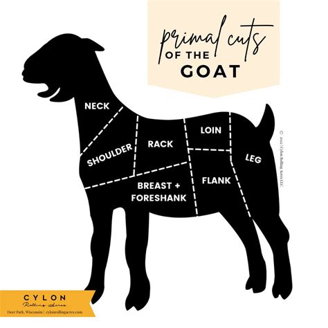 Goat Meat Cuts Everything You Need To Know Cylon Rolling Acres