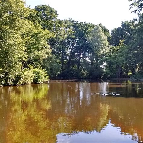 Goffs Park Crawley 2019 All You Need To Know Before You Go With