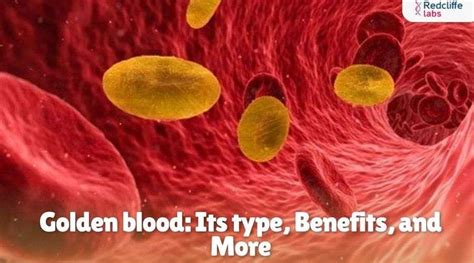 Golden Blood Its Type Benefits And More