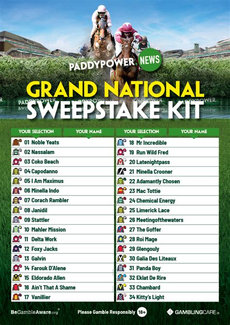 Grand National 2024 Runners Sweepstake Kit Free Printable Download