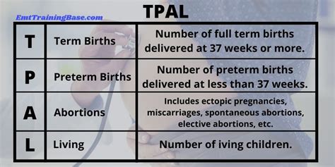 Demystifying Gravida and Para: Essential Pregnancy Terminology Explained