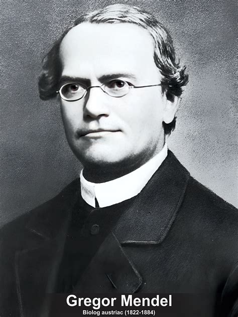 Gregor Mendel Gregor Mendel And Genetics Blue Valley Libraries At Blue Valley School District