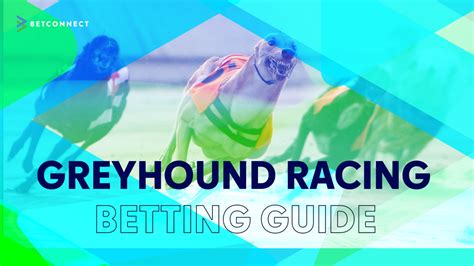 Greyhound Betting Little Known Reality Greyhound Betting Little Known Reality