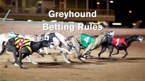 Greyhound Betting