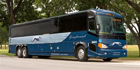 Greyhound Greyhound Bus