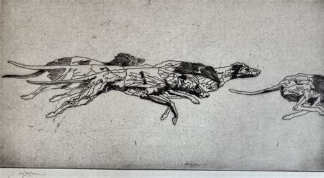 Greyhound Race By John Nicolson Scottish Flair