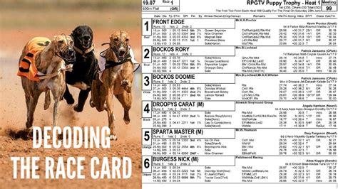 Greyhound Racing Cards Tomorrow