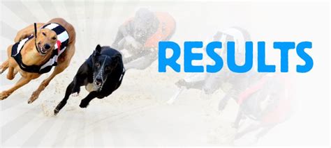 Greyhound Racing Results Form Betting Tips Timeform Greyhound Racing Results Form Betting Tips Timeform