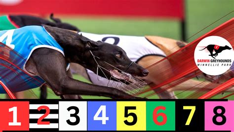 Greyhound Racing Tips Free Australian Greyhound Tips 2026 Greyhound Racing Tips Free Australian Greyhound Tips 2026