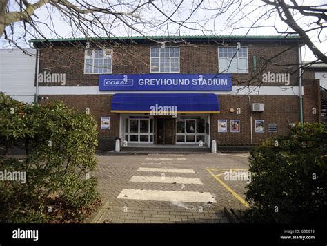 Greyhounds Brighton Hove Greyhound Stadium Hi Res Stock Photography And Greyhounds Brighton Hove Greyhound Stadium Hi Res Stock Photography And