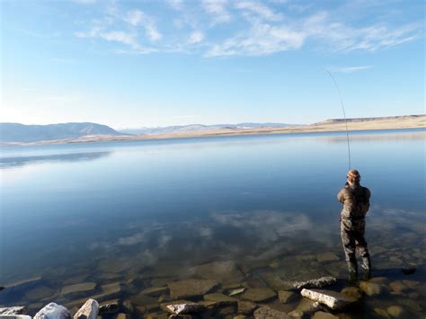 Grid Image Laramie Plains Lakes Four Seasons Anglers