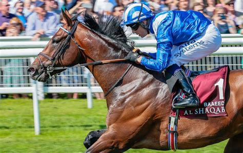 Haggas Looking To The Future With Baaeed S Little Brother