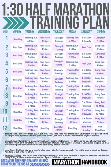 Half of 30: Smart Ageing Strategies Unveiled