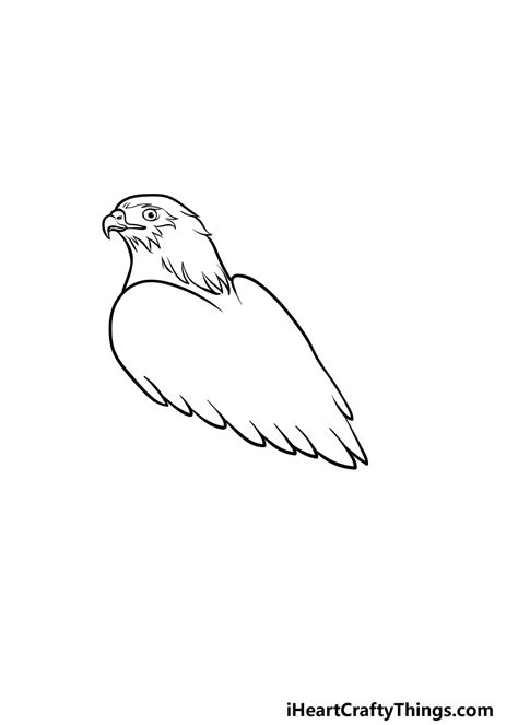Hawk Outline Drawing Easy: Step-By-Step Guide For Beginners