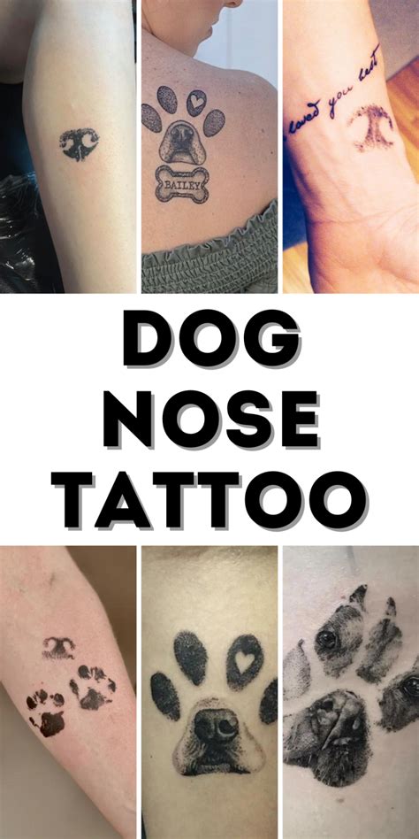 Heartfelt Dog Nose Tattoos Simple Realistic And Minimalist Designs