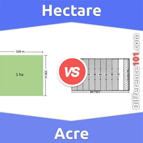 Hectare vs Acre: Land Measurement Showdown
