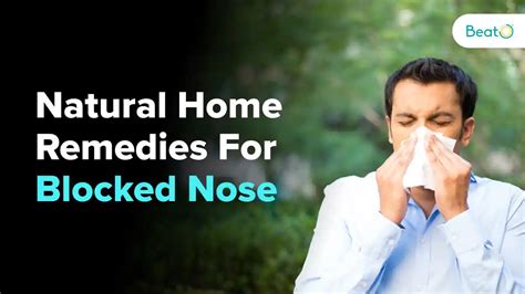 Helpful Home Remedies When You Have A Blocked Nose Helpful Home Remedies When You Have A Blocked Nose