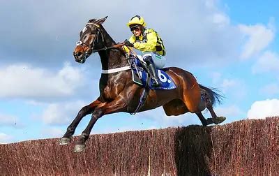 Henderson Heartbreak After Death Of Stable Star Shishkin