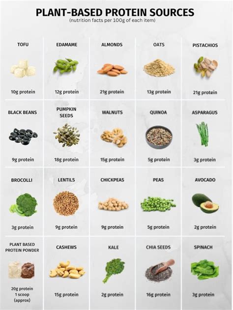 High Protein Foods Easily Digested At Eleonor Olson Blog