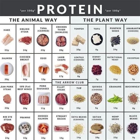 High Protien Food Nutrition Animal Protein Protein High Protien Food Nutrition Animal Protein Protein
