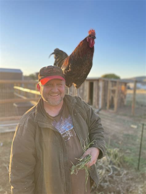 Home Mobile Butcher In Utah Dexter Meats Home Mobile Butcher In Utah Dexter Meats