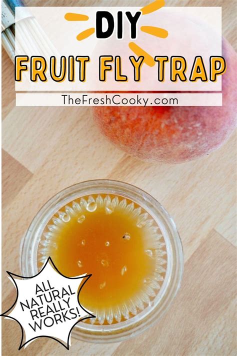 Homemade Fruit Fly Trap The Fresh Cooky