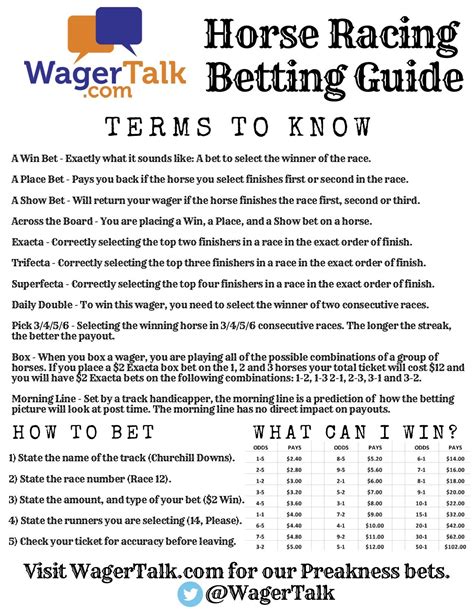 Horse Racing Beginners Guide Horse Racing Betting
