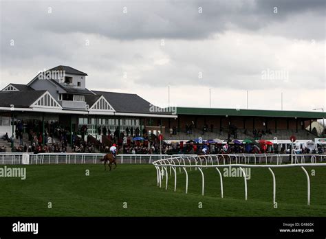 Horse Racing Catterick Racecourse Stock Photo Alamy