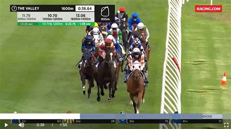 Horse Racing Replays At The Races