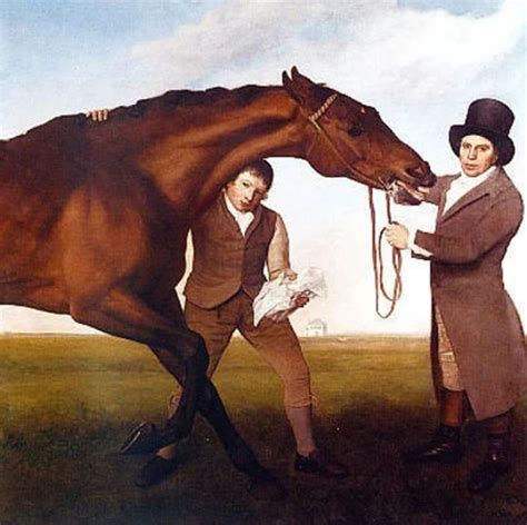 Horse Racing Results Uk Ireland 2015 2025 Kaggle Horse Racing Results Uk Ireland 2015 2025 Kaggle