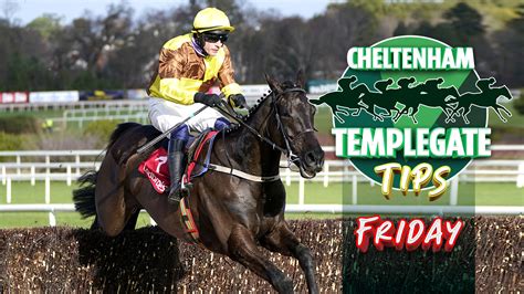 Horse Racing Tips No Fears Over This Massive Cheltenham Eyecatcher Templegate S 7 2 Saturday Nap