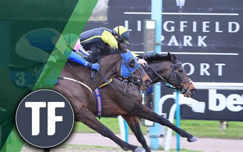 Horse Racing Tips Timeform Amp 39 S Tuesday Fancies At Yarmouth