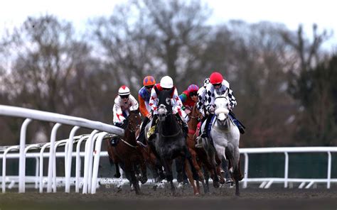 Horse Racing Tips Today Best Saturday Bets For Kempton Park The Standard