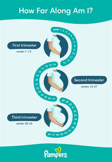 How Can I Know How Many Weeks Pregnant I Am How Can I Know How Many Weeks Pregnant I Am