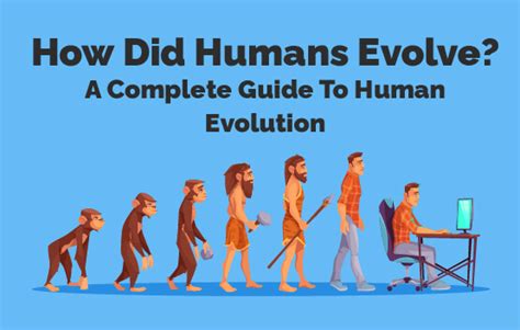 How Did Humans Evolve A Complete Guide To Human Evolution