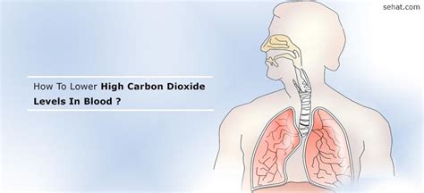 How Does This Help Clear The Nose Temporarily Increases Carbon Dioxide Levels In The Blood Which Will In Turn Open The Nasal Passages Breathing Exercises Can Often Help But How Does This Help Clear The Nose Temporarily Increases Carbon Dioxide Levels In The Blood Which Will In Turn Open The Nasal Passages Breathing Exercises Can Often Help But