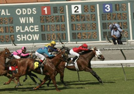 How Does Tote Betting Work In Horse Racing Racing Club