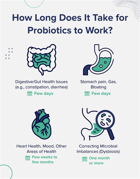 How Long Does It Take Probiotics To Balance Ph