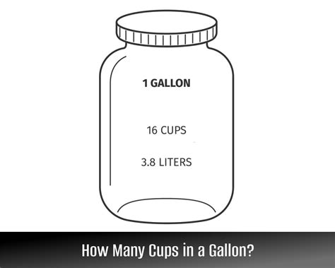 How Many Cups in Half Gallon: Quick Conversion Guide