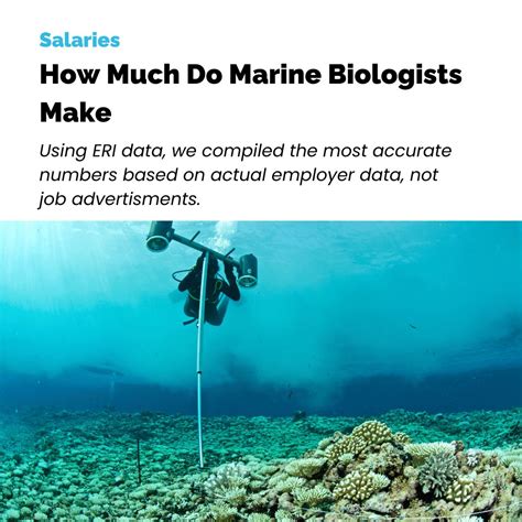 How Much Do Marine Biologists Make Based On Actual Job Offers Optim