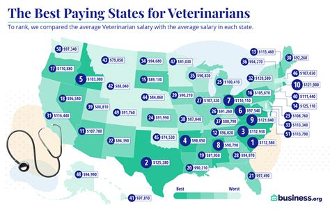 How Much Do Vets Earn On Average In The Uk Vet Salary Uk