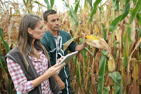 How To Become An Agronomist