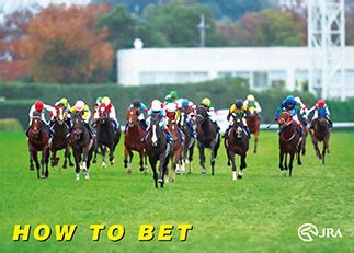 How To Bet Jra Enjoy Racing Horse Racing In Japan