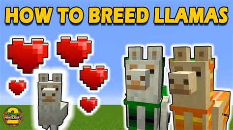 How To Breed Llamas In Minecraft