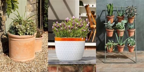 How To Bulk Out Plant Pots At Kaitlyn Corkill Blog