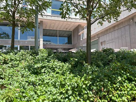 Navigating How to Cap at Harvard: Insider Tips for Students