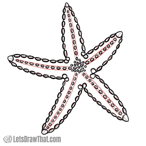 How To Draw A Simple Starfish For Kids