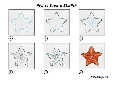How To Draw A Starfish Helloartsy